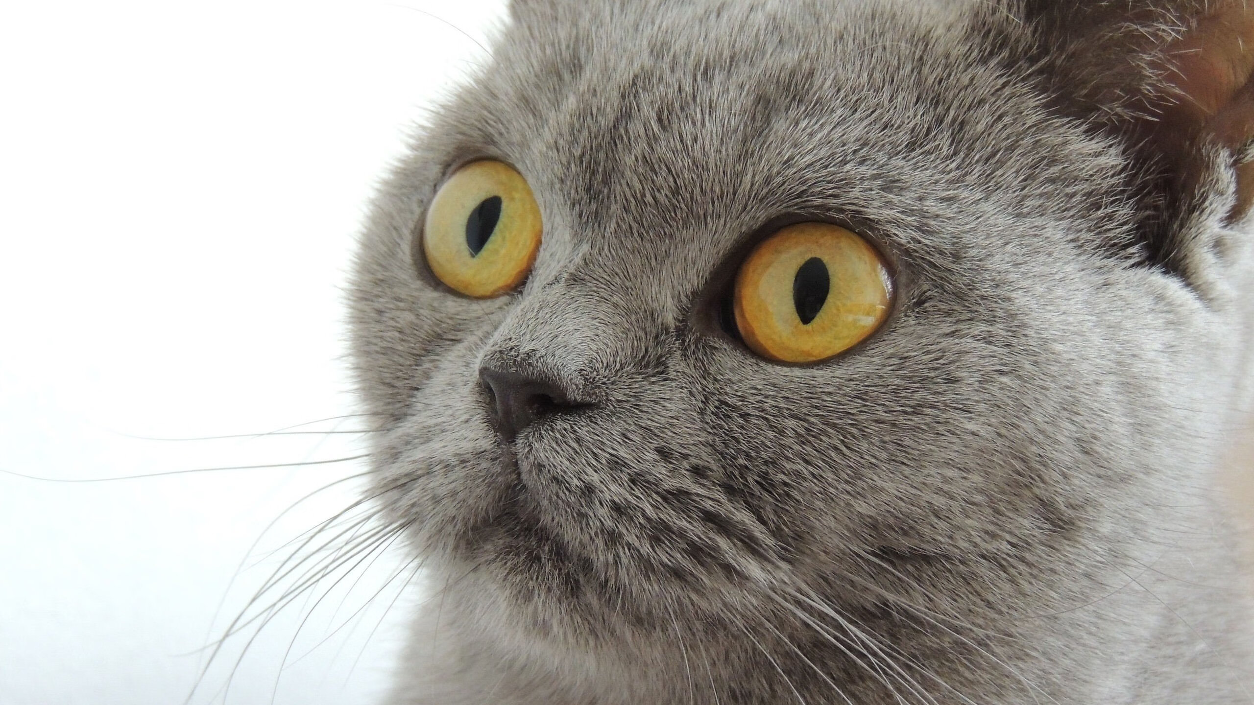 九游体育电竞-中小学课后体育延时服务质量评估报告,课后延时服务以体育为主