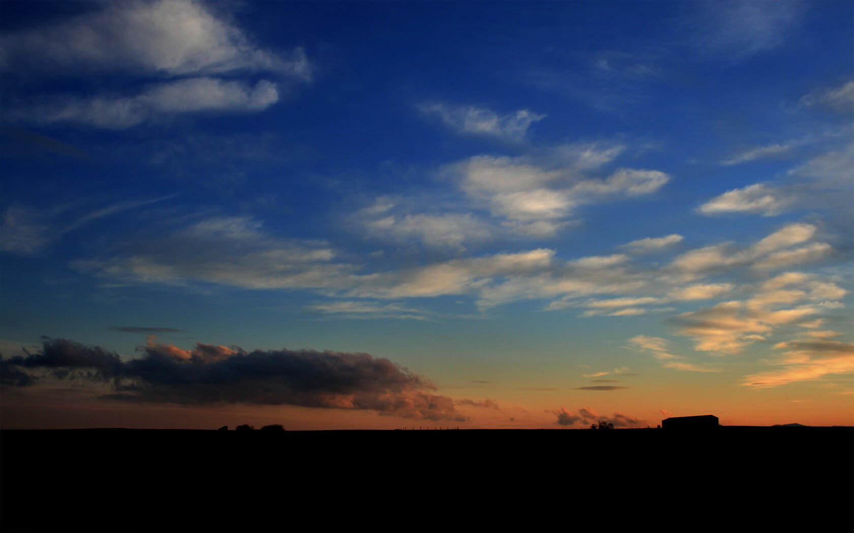 九游官网-体育社会组织透明度与公信力提升路径,体育社会组织发展历程