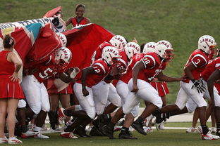 九游体育电竞官网-全国青少年攀岩锦标赛顺利举办,攀岩青少年标准赛道
