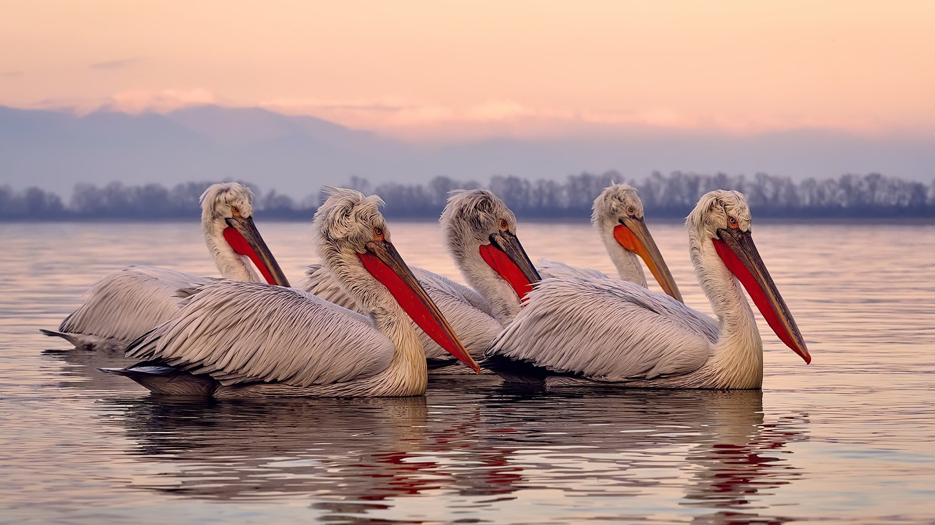 九游9游-国足传球节奏与失误分布关系,足球传球出现的错误